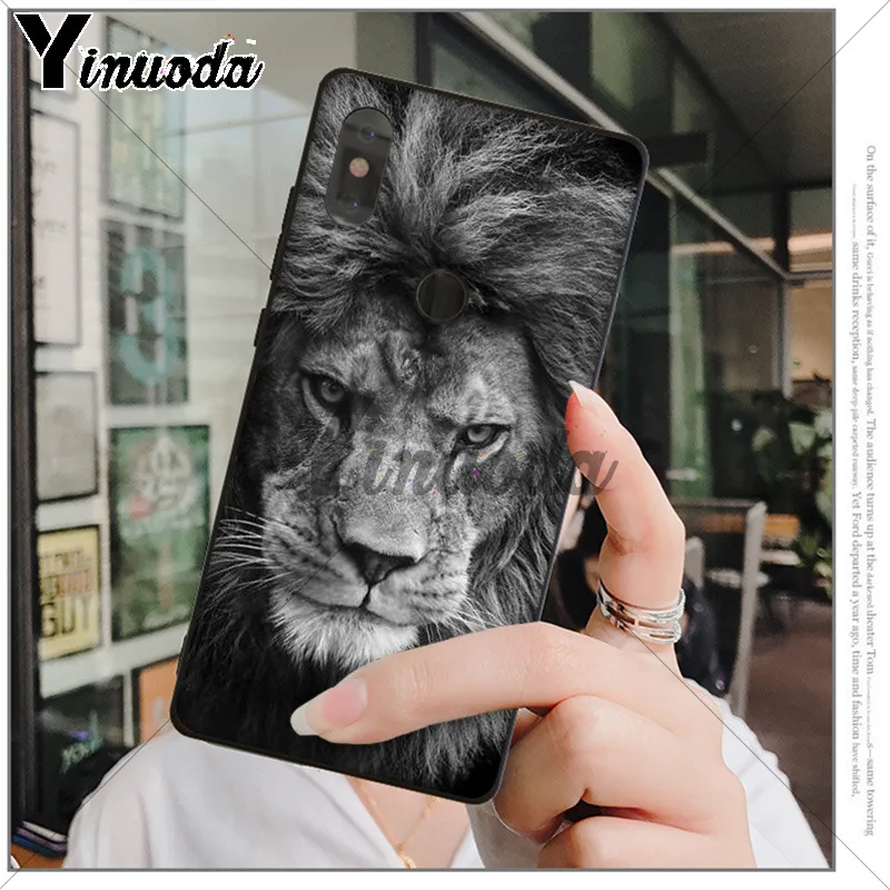 Animals The lion