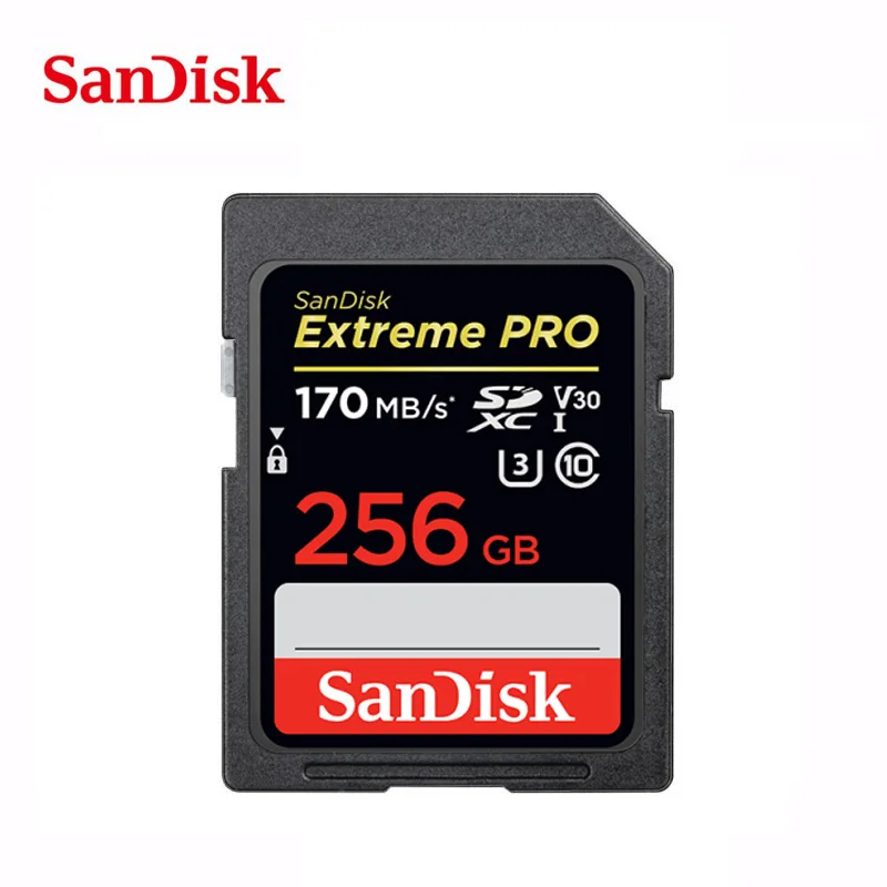 SanDisk ультра оригинальная sd-карта 16 ГБ 32 ГБ SDHC 64 Гб 128 ГБ 256 ГБ SDXC класс 10 карта памяти C10 USH-I/USH-II Extreme Pro для камеры - Емкость: 256GB 170MB