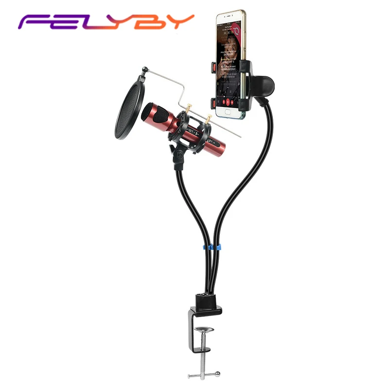 

FELYBY Adjustable Recording Microphone Stand for Live Show Recording Noise Cancelling Microphone with Phone Holder