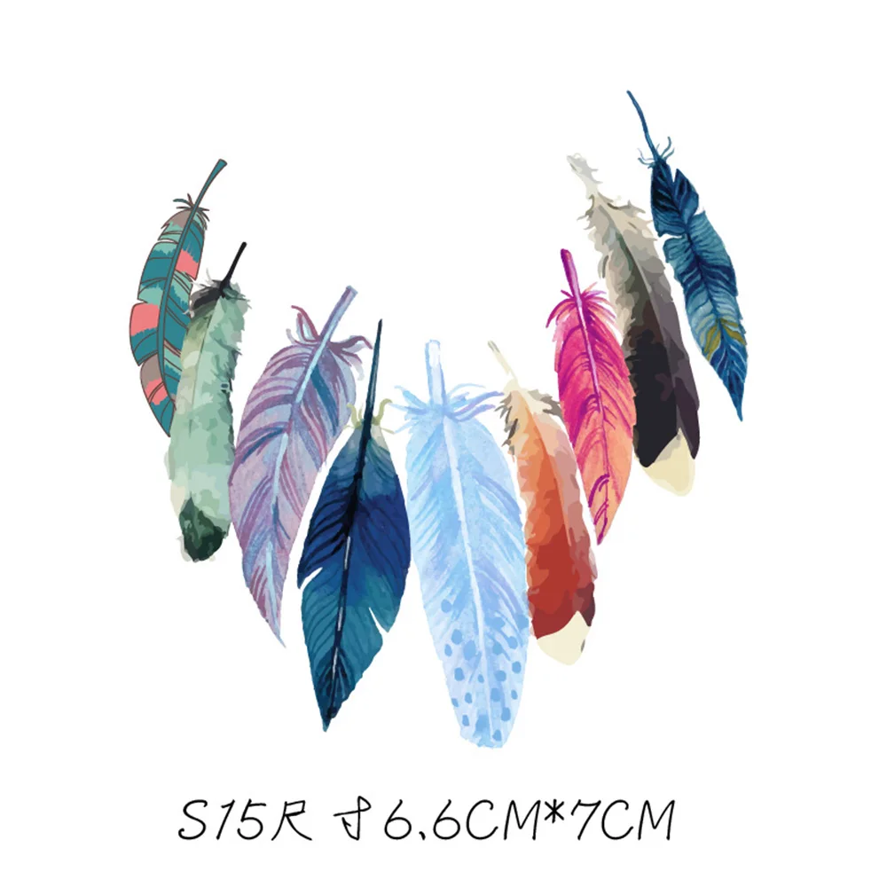 8833134693_910898397