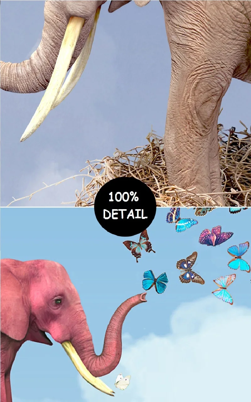 DE1