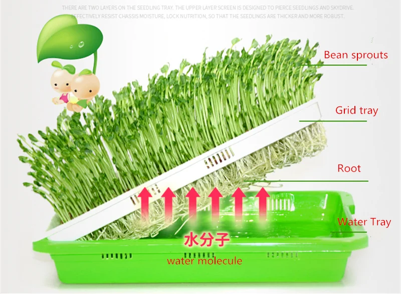 Пластиковый поднос для рассады бобовых ростков, пластинчатый ящик для детской, система гидропоники для выращивания рассады, поднос для рассады, инструмент для домашнего сада и растений