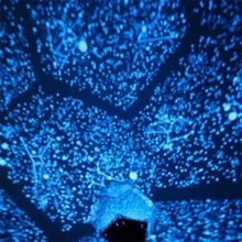 ICOCO небесная звезда Astro Sky Cosmos Ночной Светильник проектор лампа Звездная спальня романтический декор Прямая 2nd/5nd поколение