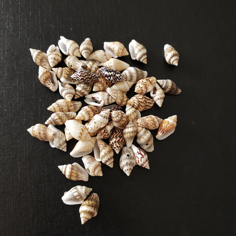 

12-18mm One hole Natural Mini Spiral SeaShell leopard print Shell for glass bottle decoration DIY handmade 100pcs