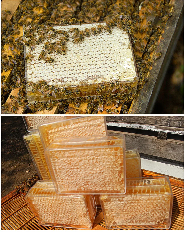 500 г чистый мед расческа Жевательная на мед ферме делает настоящий мед расческа мед натуральный пчелиный ульь питание здоровье женщин еда десерт