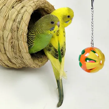 

2019 new arrival Pet Bird Supplies Parrot Toys Colour Hanging Bell Cage Toys for Parrots Bird Squirrel Funny Chain Swing Toy