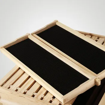 

Safe and Convenient Breeding Facility Beehive 20 Frame Box Kit (10 Deep-10 Medium) Langstroth Beekeeping