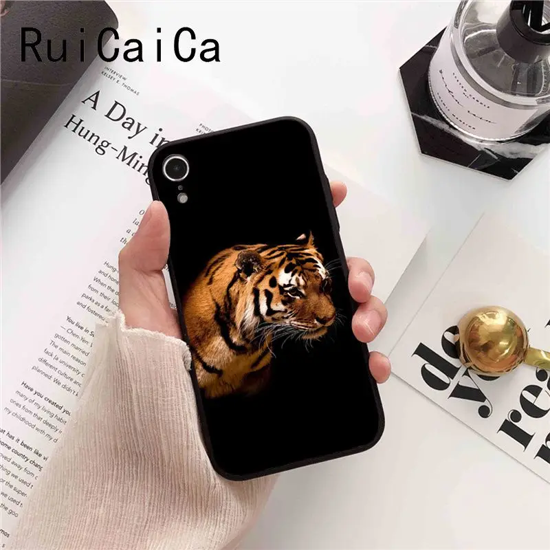 tiger fashion