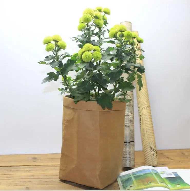 3 шт. моющаяся крафт-бумажная сумка большая сумка для хранения растений, овощей, выращивания цветов, сумка для горшка, корзина для детской одежды, органайзер для игрушек