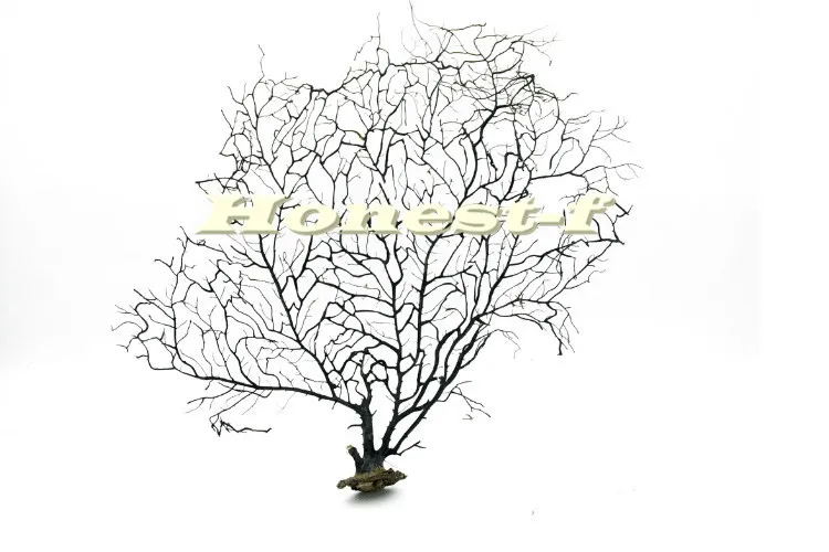 

20cm Black Sea Fan Fish Tank Aquarium Decoration, Sea Coral Ornament TR-01