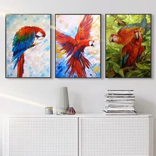 Картина маслом c изображением птиц Печать на холсте домашний декор попугай картины на стену украшения дома без рамки