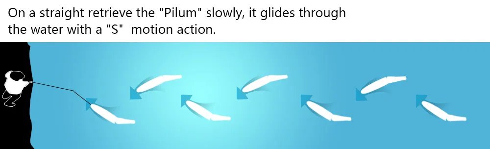 CF motion activity