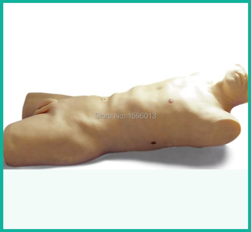 Advanced Liver Abscess Puncture Simulator model, Liver abscess puncture training model Advanced Liver Abscess Puncture Simulator model, Liver abscess puncture training model