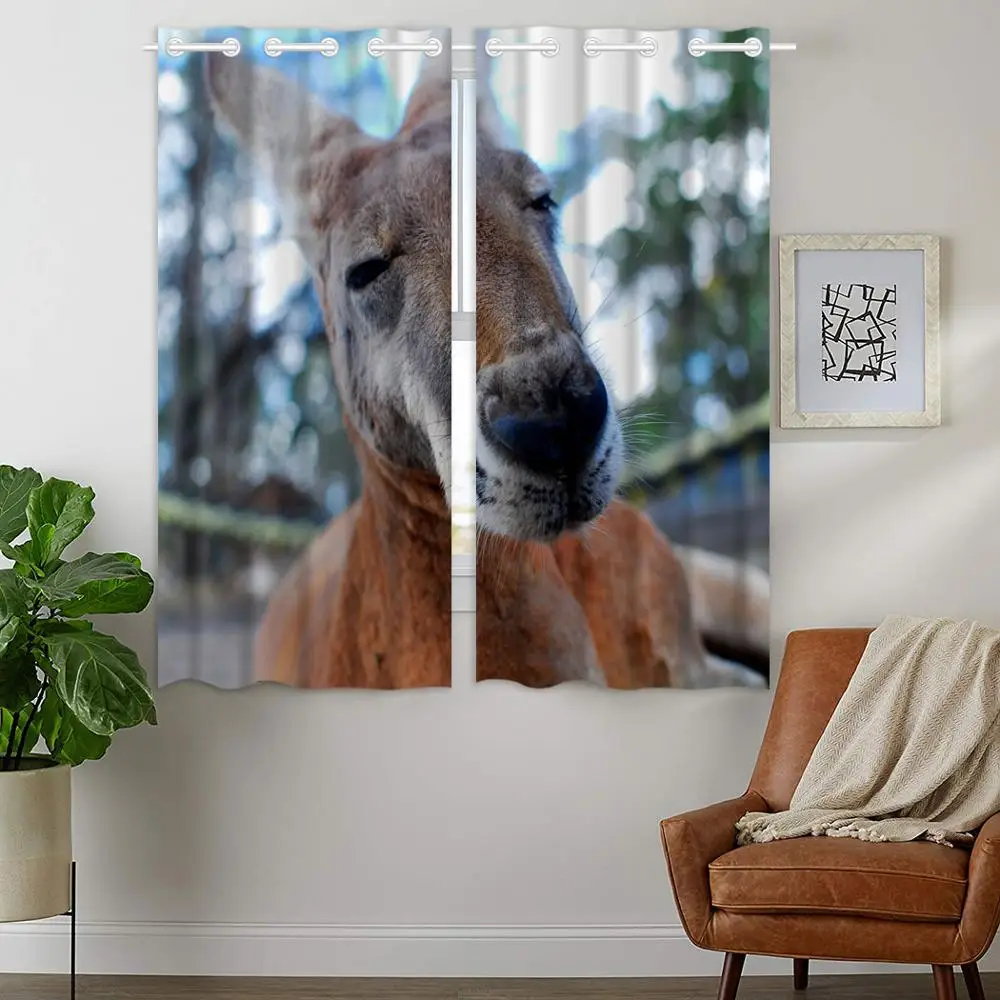 

Blackout Curtains Darkening 2 Panels Grommet Window Curtain for Bedroom Lazy Donkey Animal Close-Up