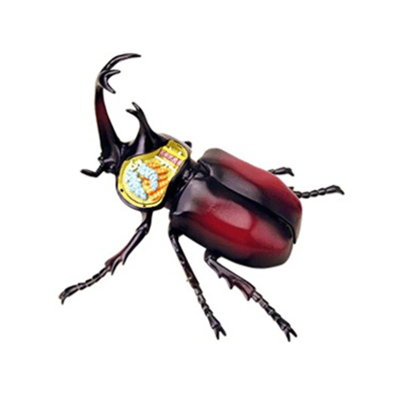 4D Небесный насекомое интеллект сборка игрушка животный орган, анатомия манекен для медицинского обучения DIY популярная научная техника