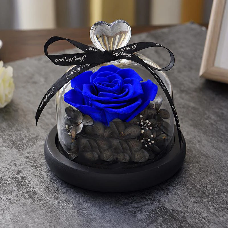 Beauty beast eternal flower gift box glass cover rose DIY Christmas gift birthday gift for girlfriend wedding souvenir