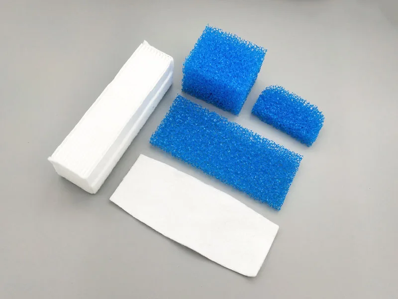 B (3)