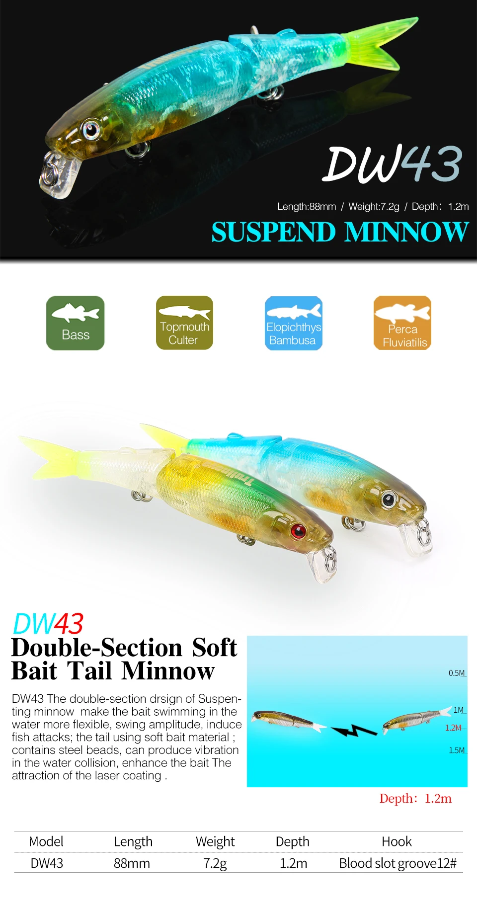 DW43_01