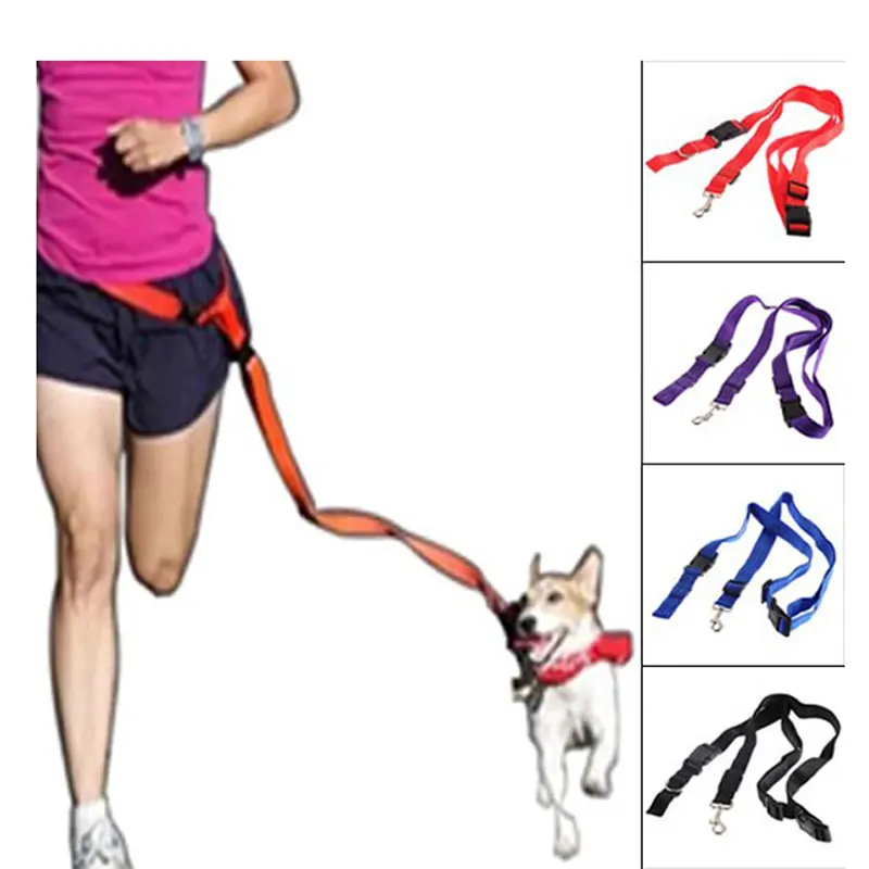 Diy Dog Running Leash The 8 Best Hands Free Leashes Of 2021 / How to