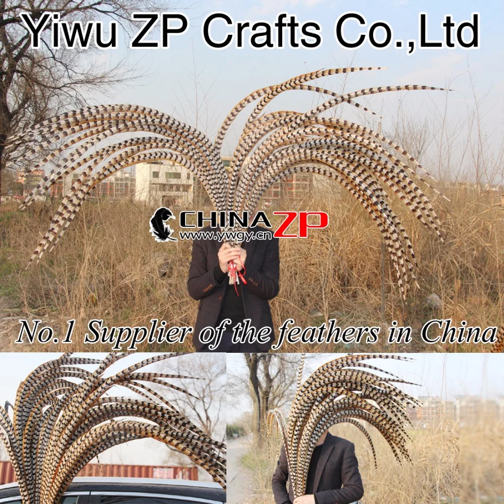 

CHINAZP Free Shipping EMS 100pcs/lot 140~150cm(56-60inch) Long Natural Reeves Venery Pheasant Tail Feathers for Carvinal