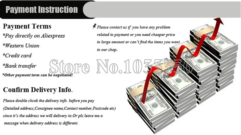 3 Payment instruction
