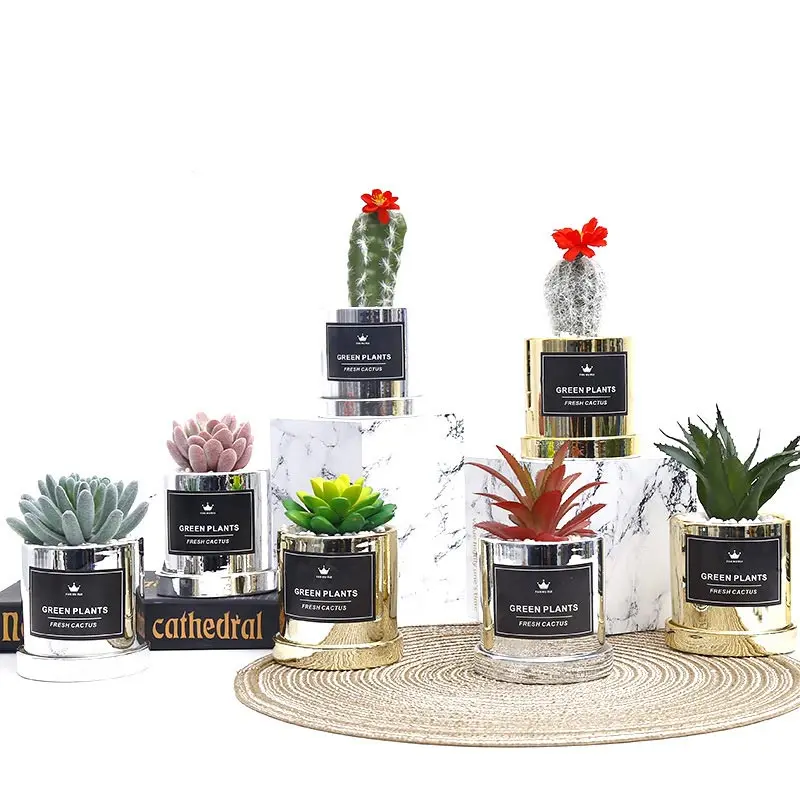 

Nordic INS Metal Light Luxury Restaurant Living Room Decoration Ceramic Basin Simulation Meat Cactus Simulation Potted Light Lux