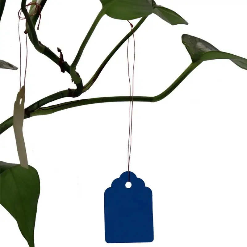 100 шт водостойкие пластиковые садовые растения Цветочные саженцы этикетка брендинг Прочный Многоразовые цветные на выбор - Цвет: Синий