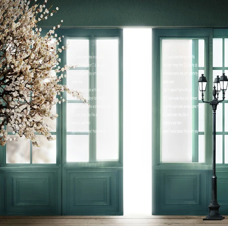 

Fresh green painted door photography backdrops flower tree photo background for photo studio background photophone S-444