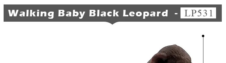 -2--DW-M-LP531-535_04