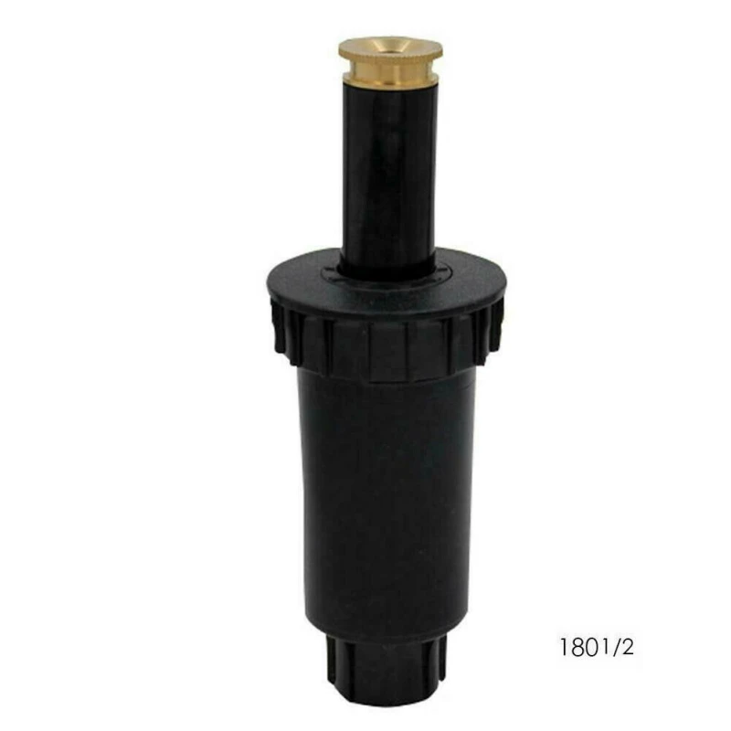 RL0974 (2)