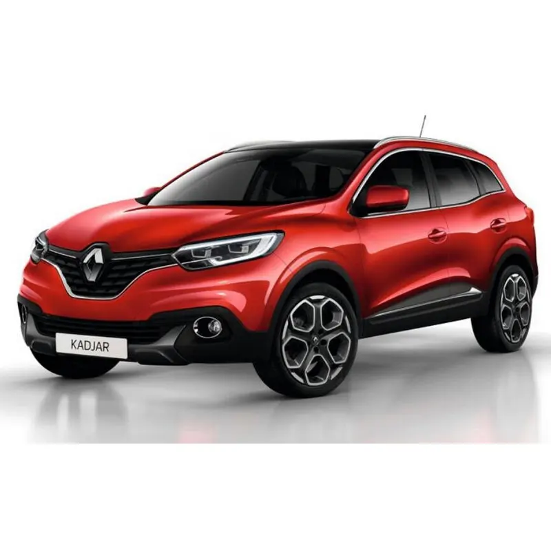 

EUR Rear turn signal lights For Renault Grand Scenic3 KADJAR Kangoo Koleos LAGUNA2 3 replace Left Right indicator light 2pc