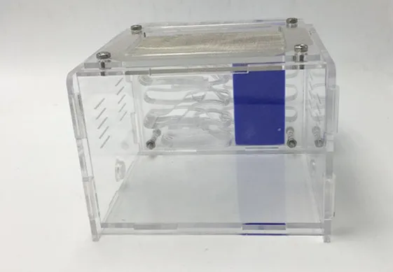 ant-square-house (2)