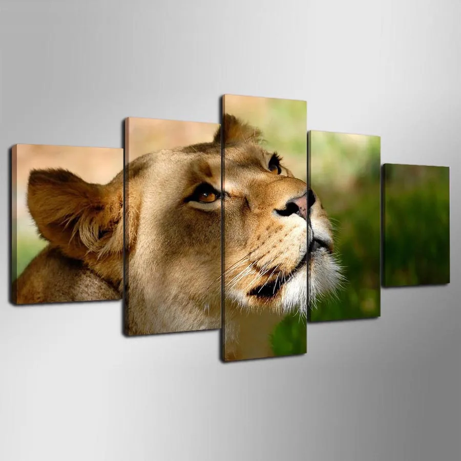 

5 Pieces HD Canvas Painting Print Animal Lion Modular Picture For Modern Decorative Bedroom Living Room Home Wall Art Decor