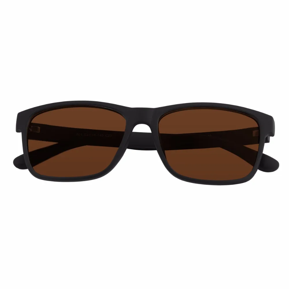 G20383_12_TINTEDBROWN_MAIN1
