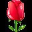 h2+Xif2nxdR3mZ48XMtjQAppGGGiiu3E2568