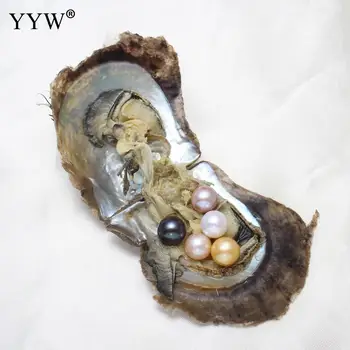 

Vacuum-Packed Sea Akoya Pearl Oyster Beads 9-10mm Potato Pink black white yellow akoya pearls DIY Luxury Jewelry Gift For Women