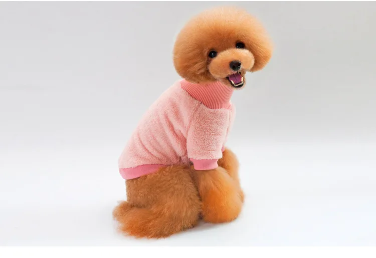 P11_New_design_Winter_Pet_high_collar_Velvet_Sweater_Clothing_Warm_Puppy_dog_cat_2_legs_hoodie_coat_Solid_color_Chihuahua_ (4)