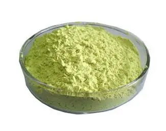 1kg free shipping 100% Sophora Japonica Extract Quercetin powder 95% HPLC