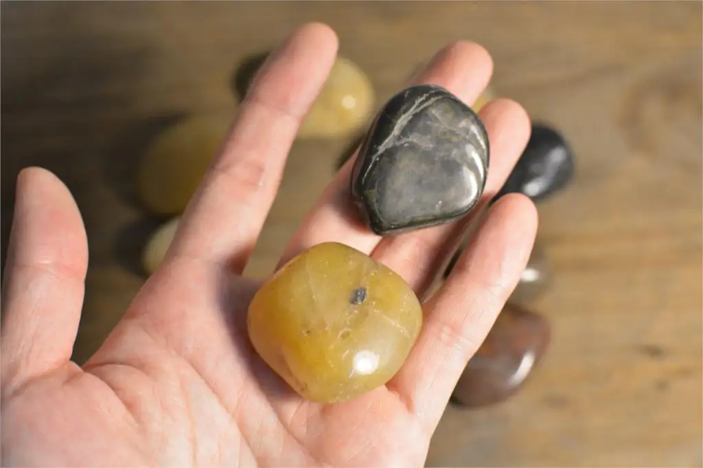 

5 pieces, small decorations of succulent plants, goose soft stone for garden fish pond. Courtyard decorations