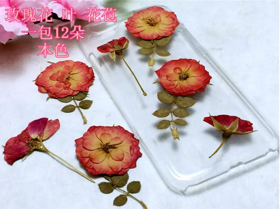 120pcs Pressed Dried Rose Flowers Plants Herbarium For Jewelry iPhone