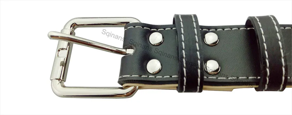 Pet dog collar