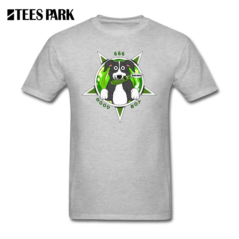 Baisc T Shirts Rick and Morty Mr Pickle Pickle Rick Men Crewneck Tees Short Sleeve Cotton High 