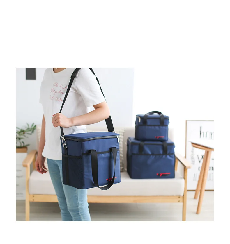 Cooler Bag Bag (9)