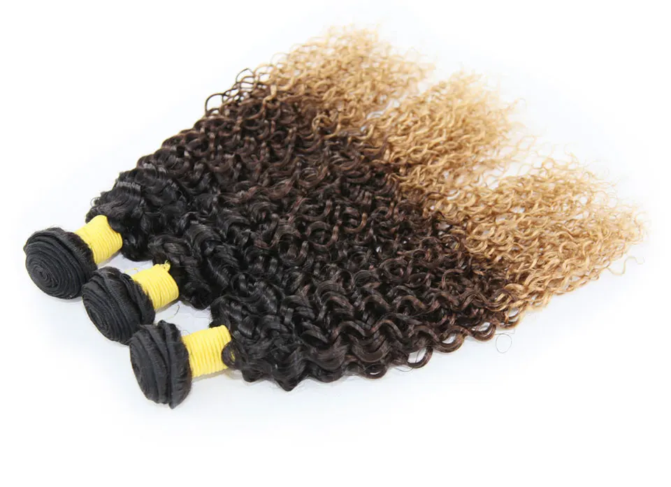 Hair Villa Ombre Brazilian Remy Hair Kinky Curly 1pc 1B427 Ombre Human Hair Bundles For Salon Low Ratio Longest Hair PCT 15% (5)