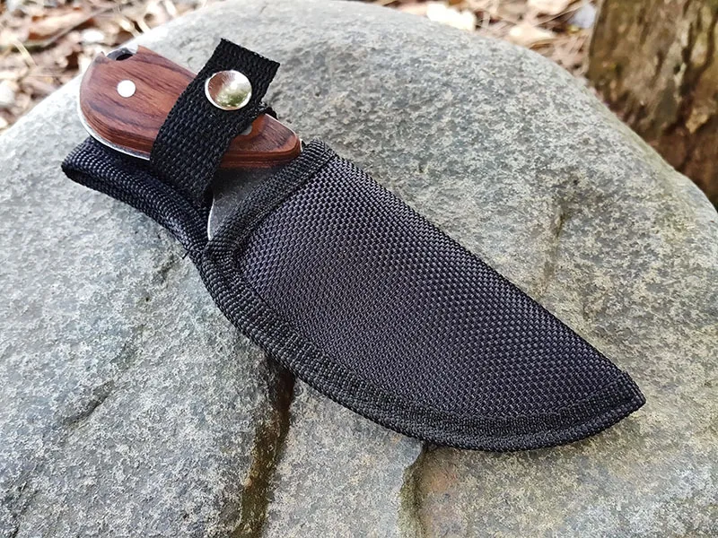 3590071354_531361192