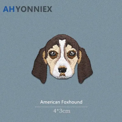 American Foxhound
