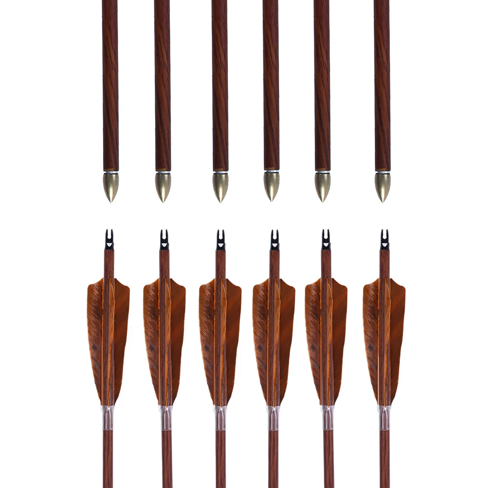 PANDARUS Darts Archery 31Inch Carbon Hunting Arrows 4-Inch Turkey Feather Fletching with Replaceable Points Targeting Practice