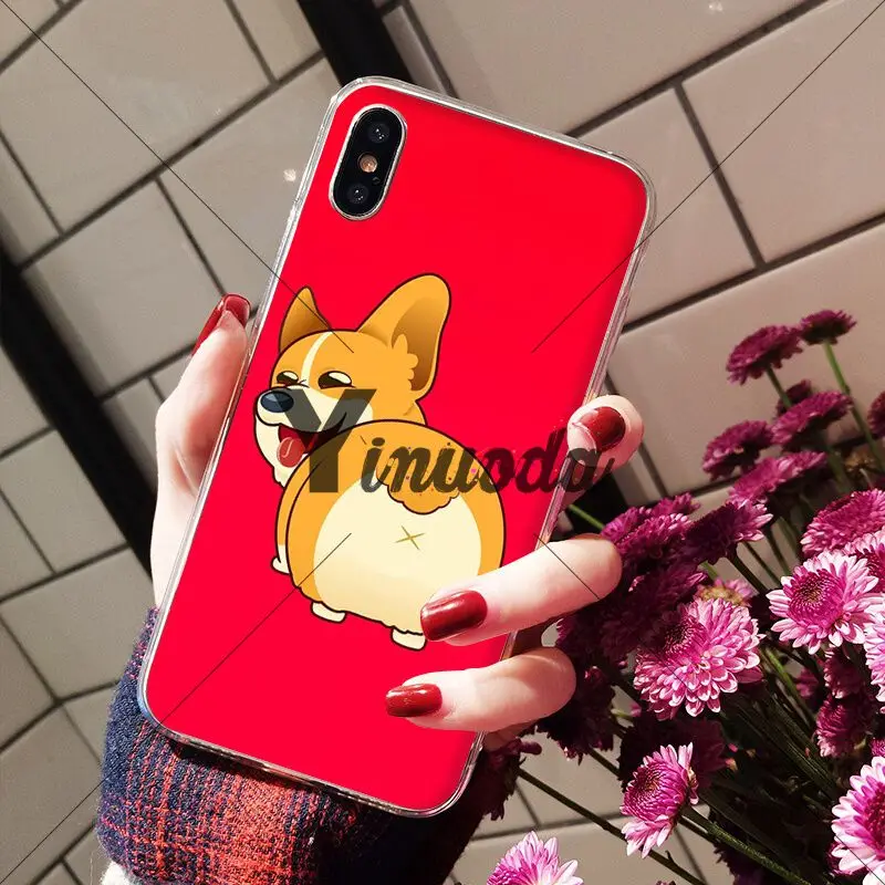 Animal cute Welsh Corgi sexy ass