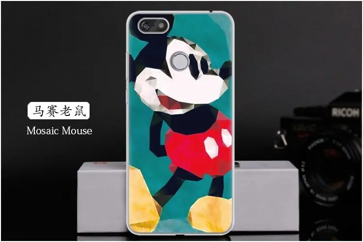  Mosaic Mouse