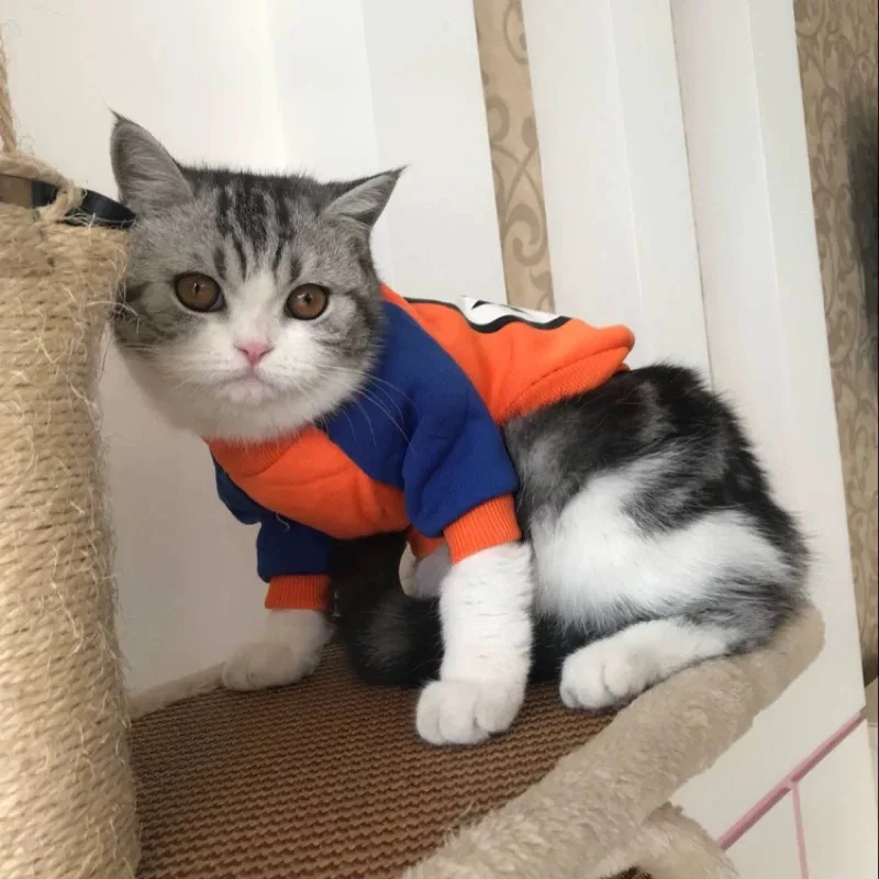 Одежда с мультяшным котом зимний теплый мягкий свитер для кошек одежда маленьких